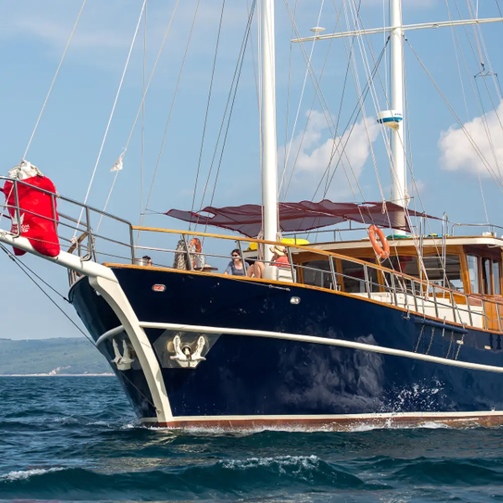 Altair 17