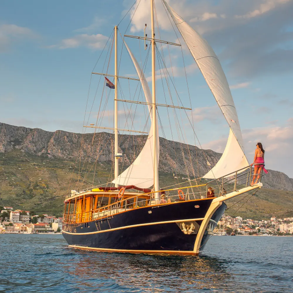 Altair 29