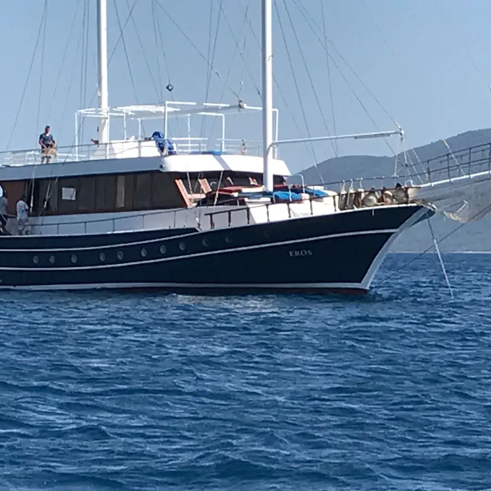 Eros 46
