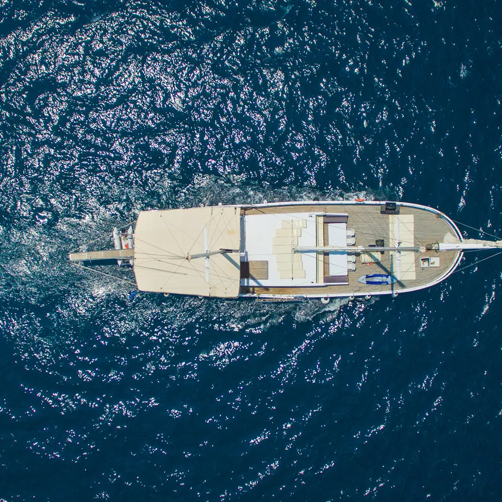 Aphrodite 20