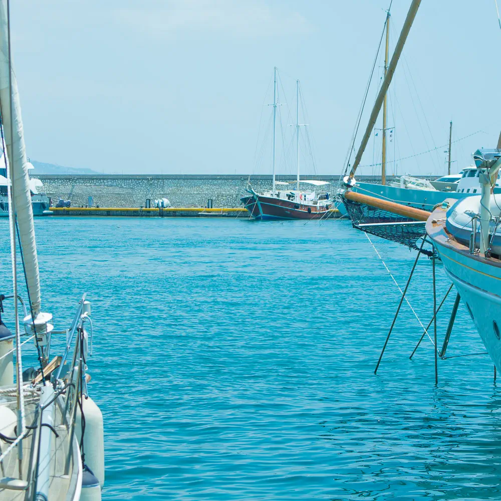 Aphrodite 29