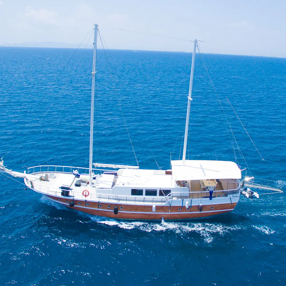 Aphrodite 26