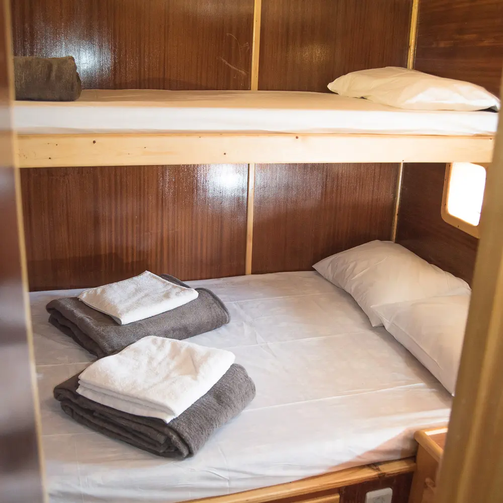 Aphrodite 31