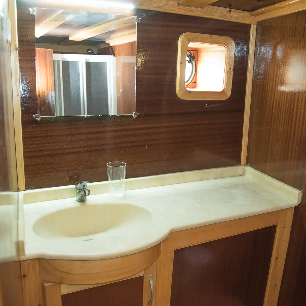Aphrodite 41