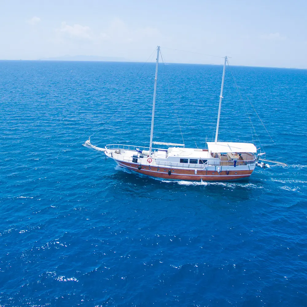 Aphrodite 47