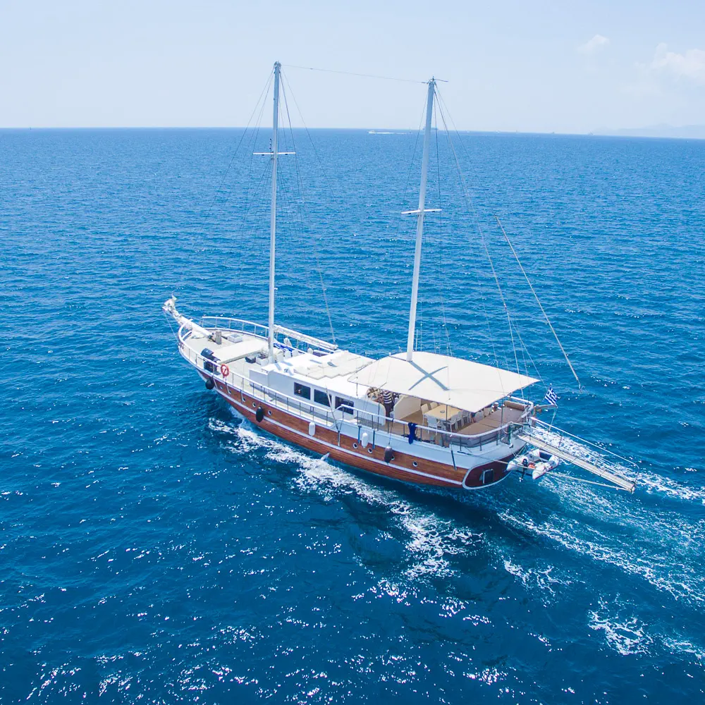 Aphrodite 53
