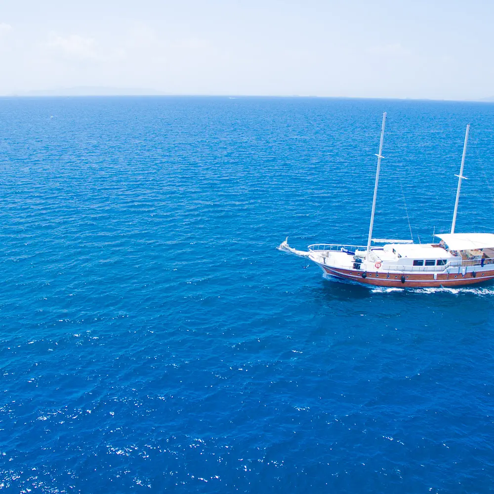Aphrodite 68