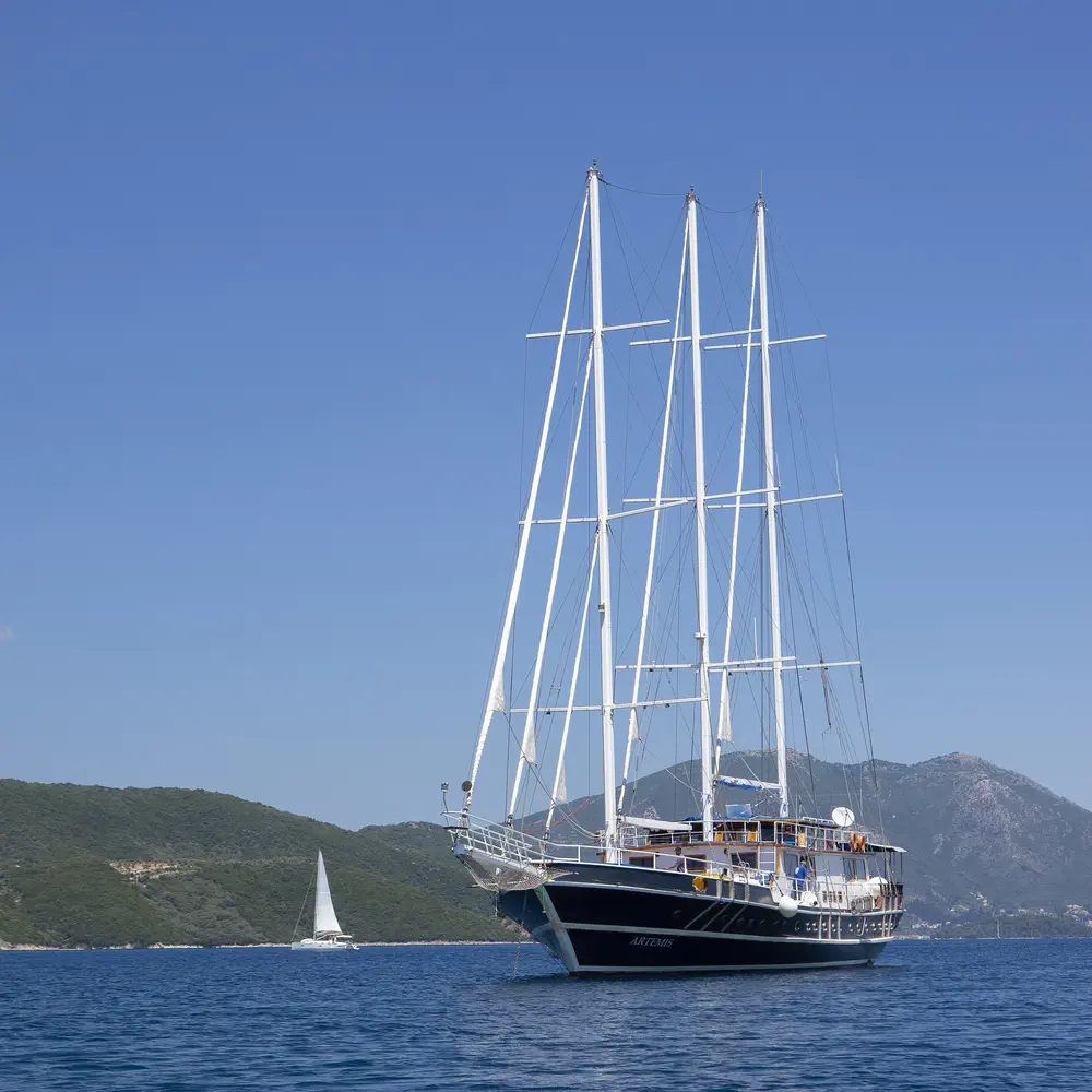 Artemis 6