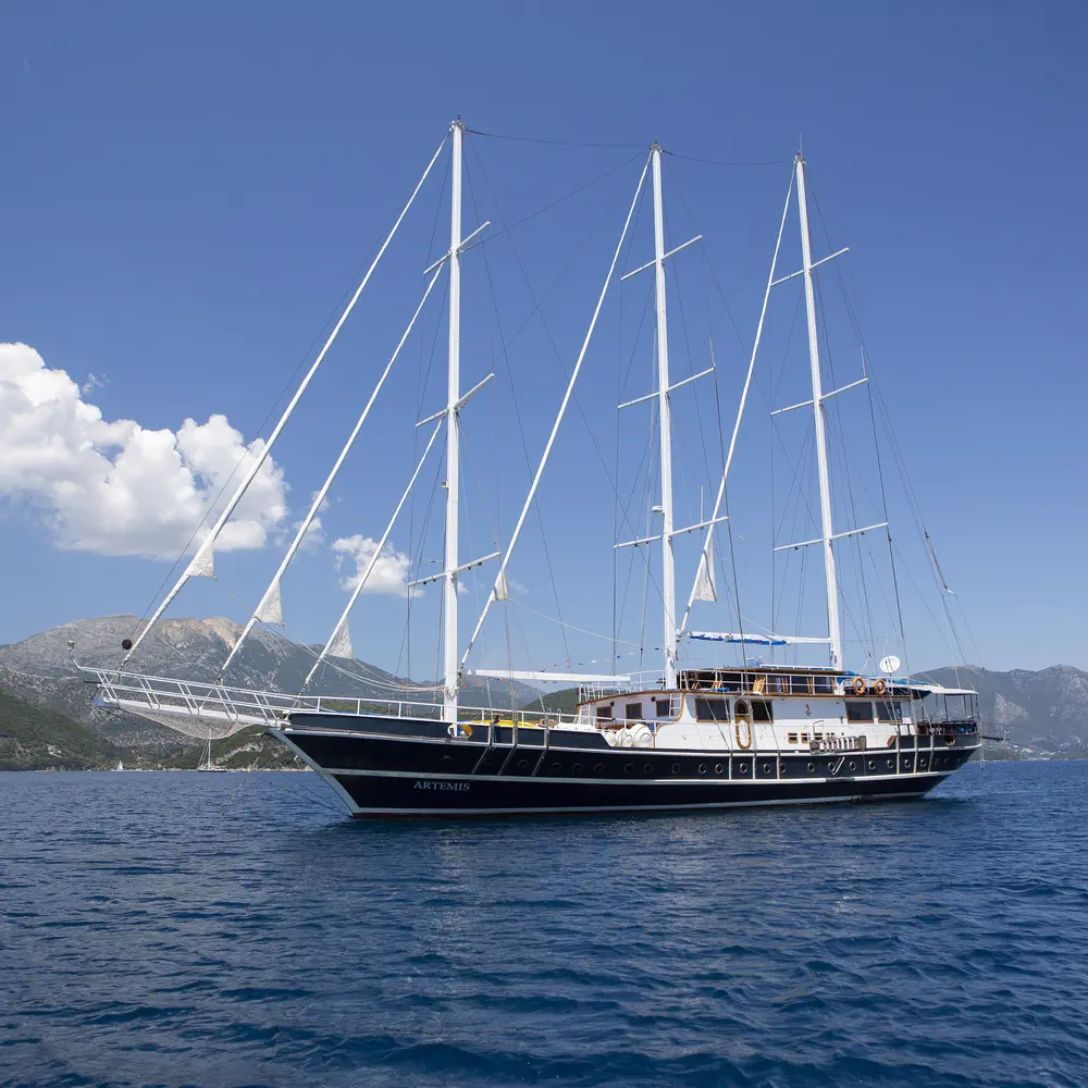 Artemis 5