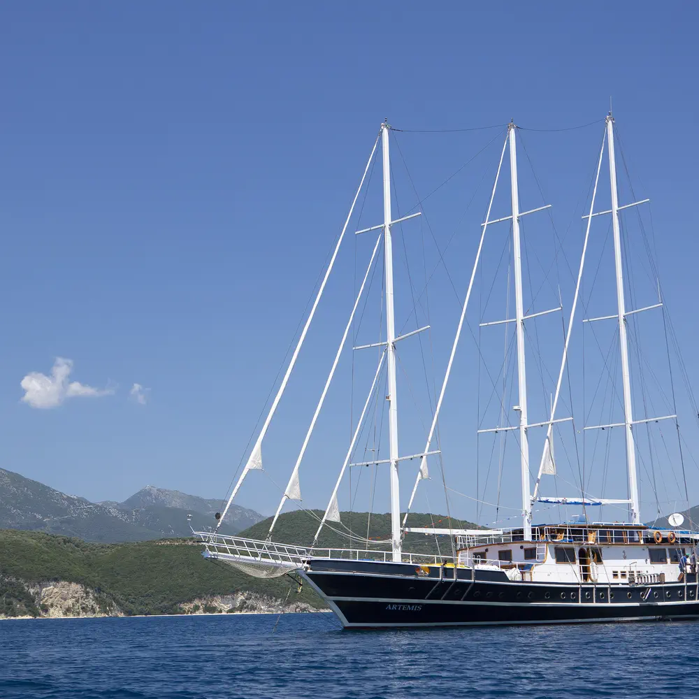Artemis 9
