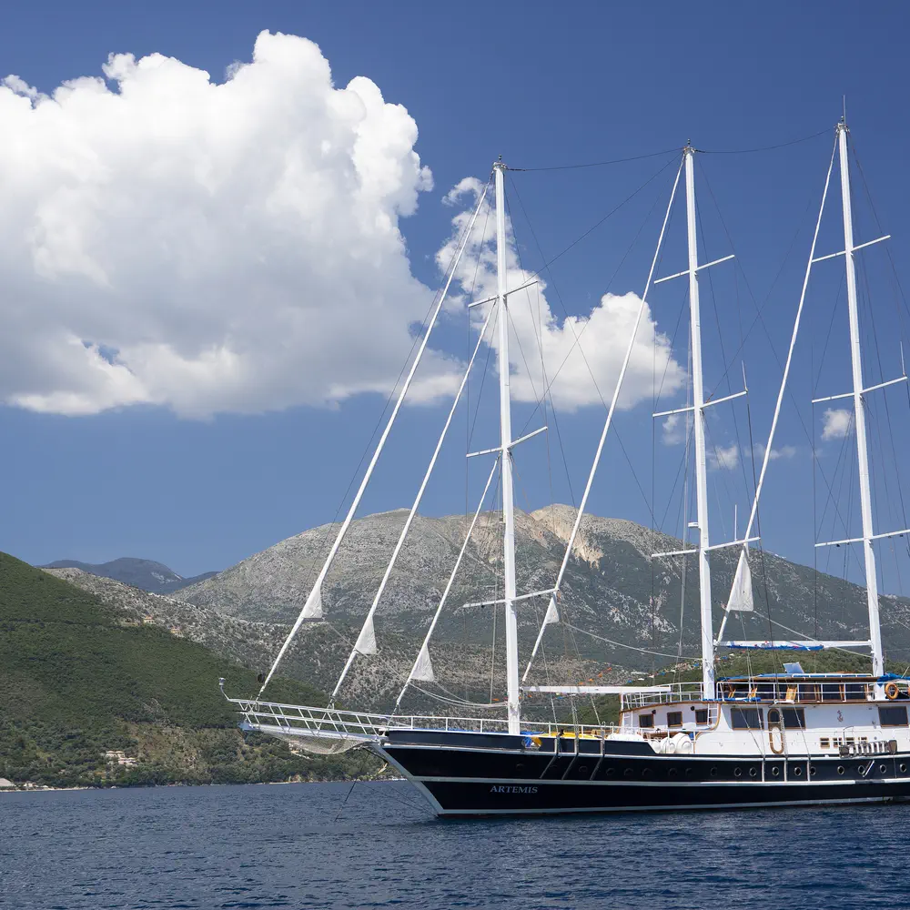 Artemis 15
