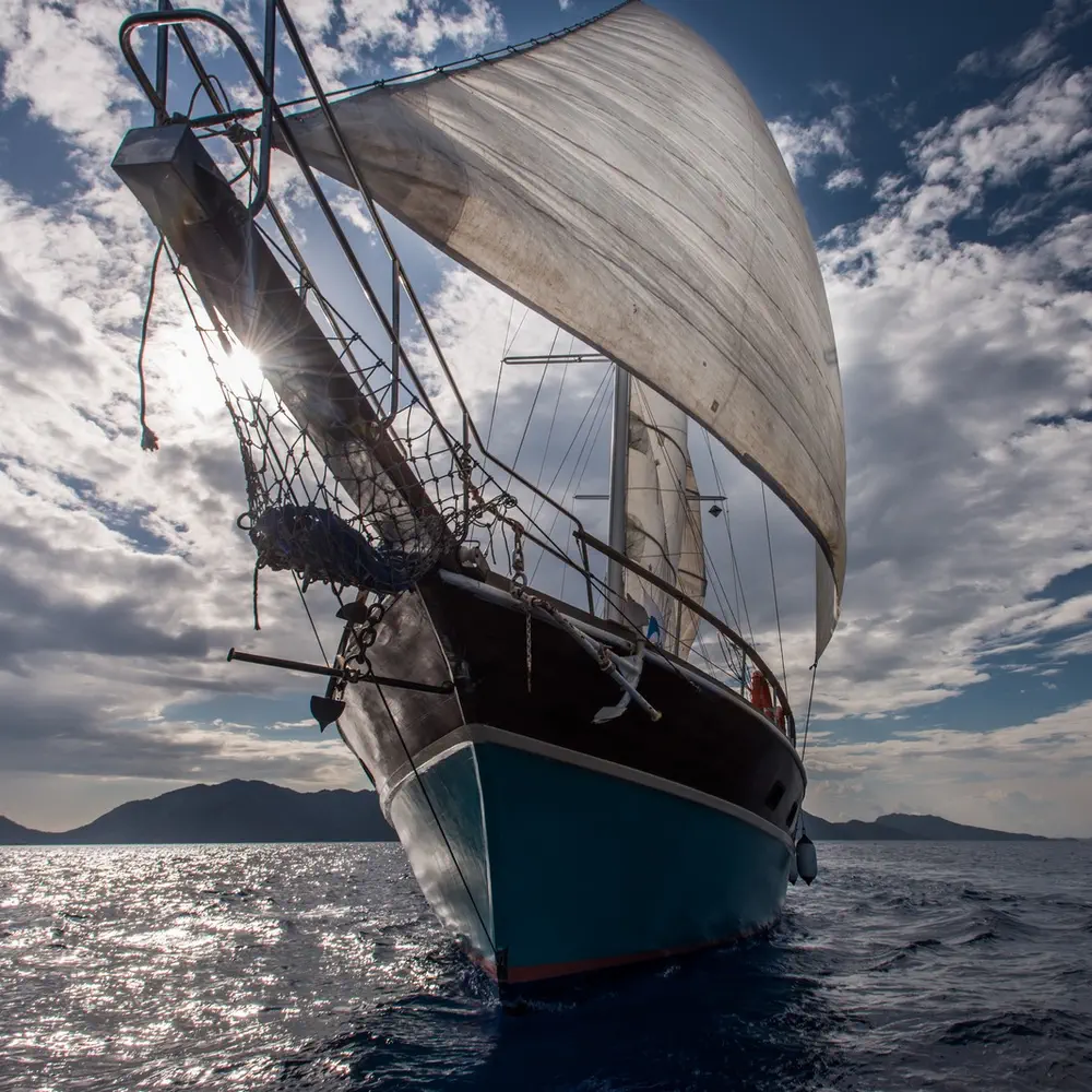 Valerie 36
