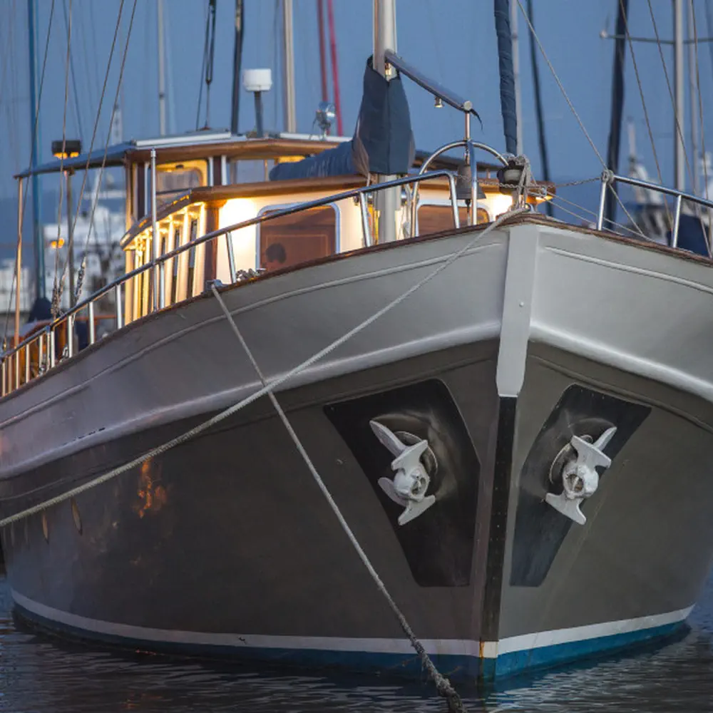 Cosmos 33