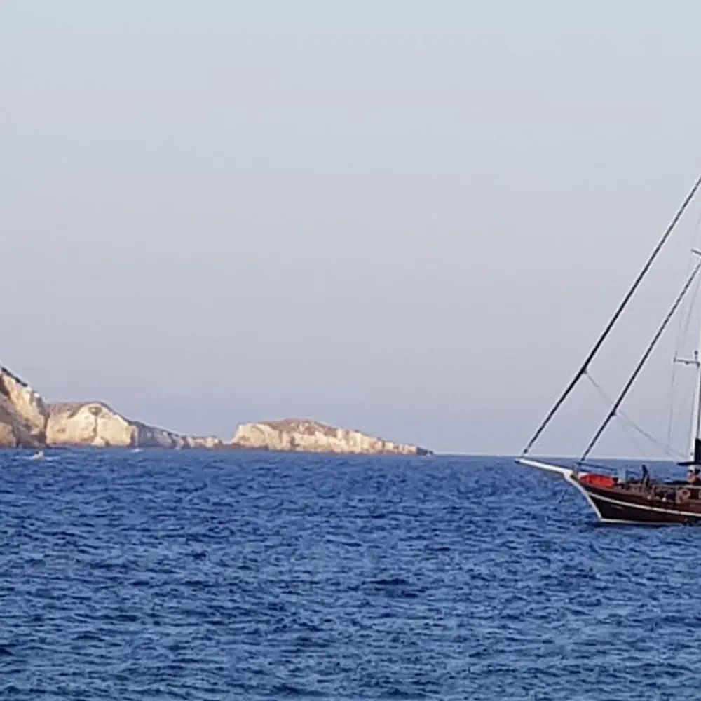 Gelidonya II 19