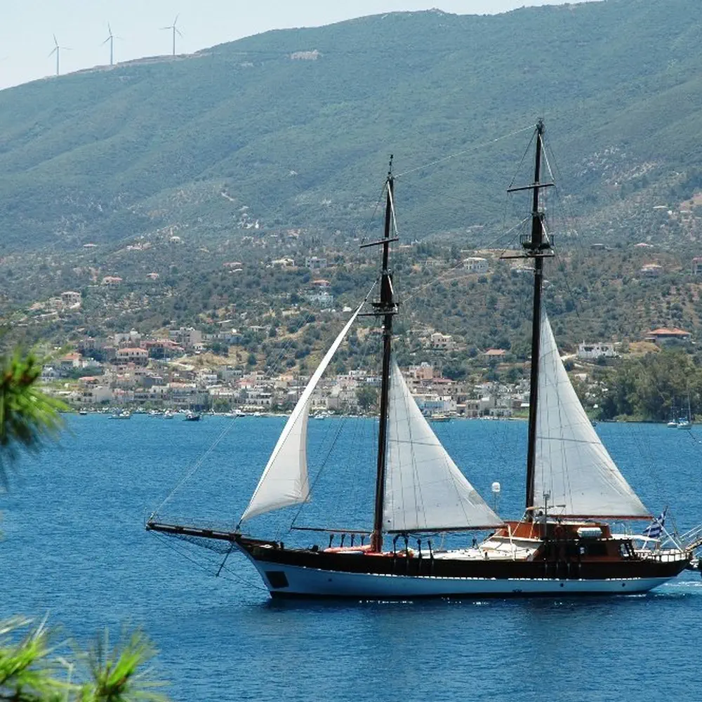 Matina 24