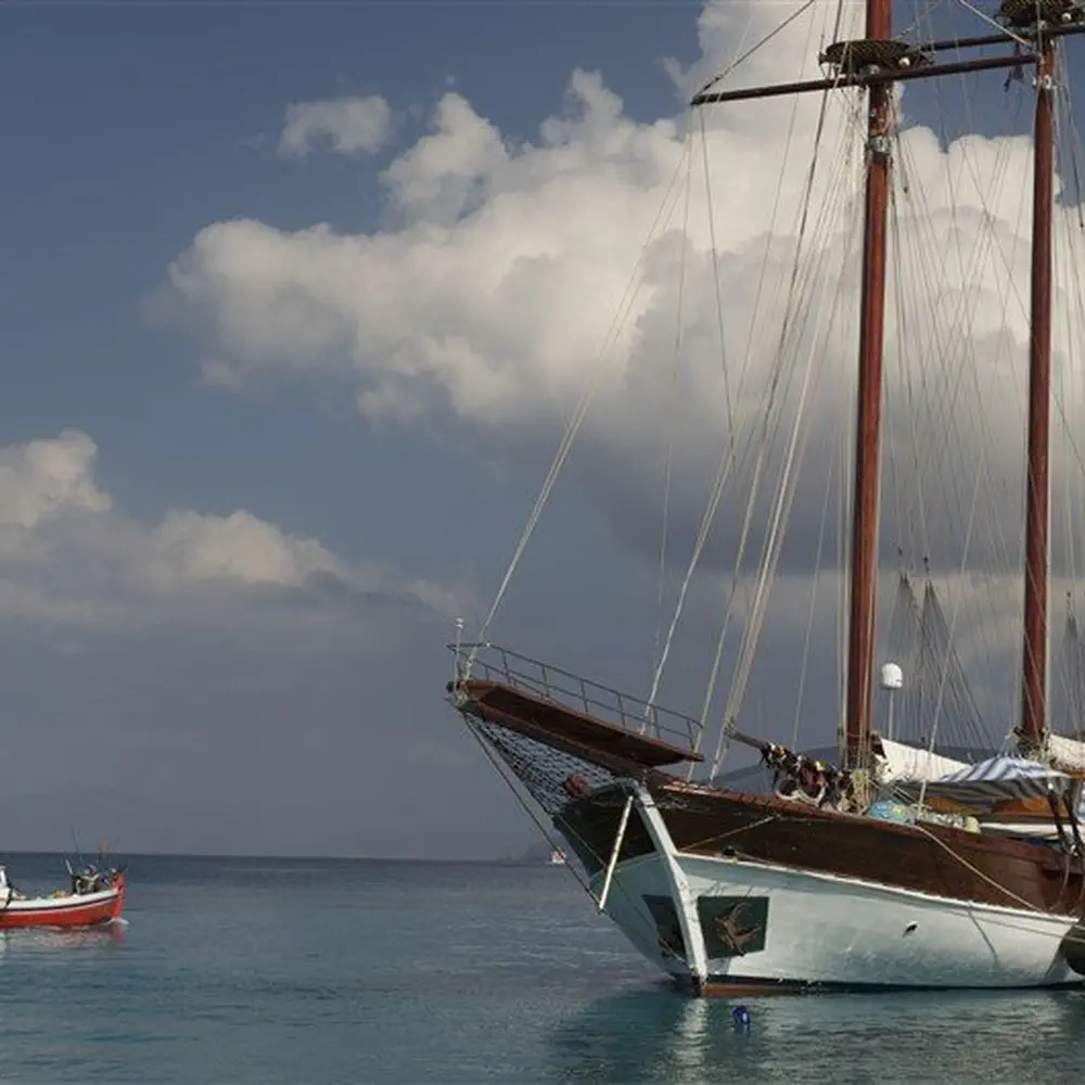 Matina 31