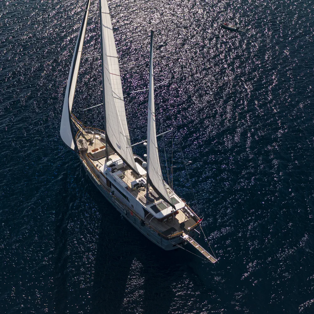 Virtuoso 21