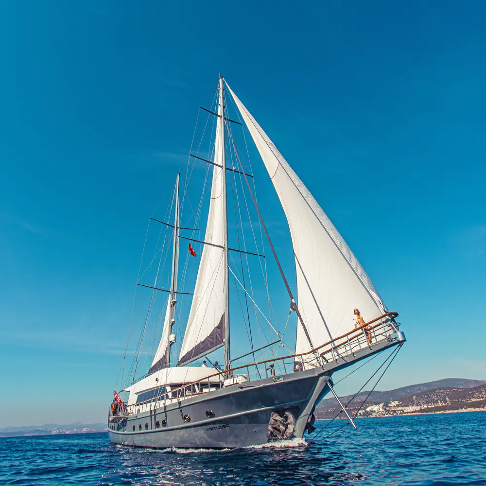 Virtuoso 11