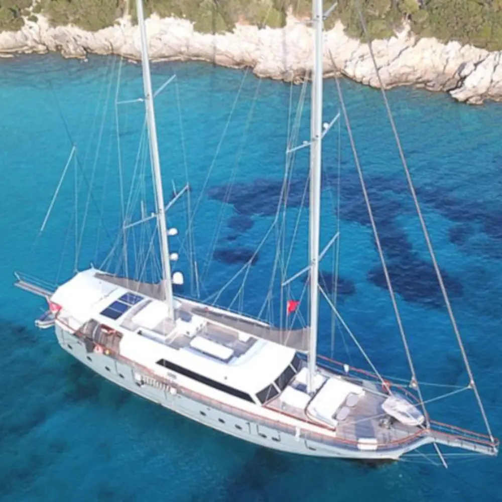 Virtuoso 29