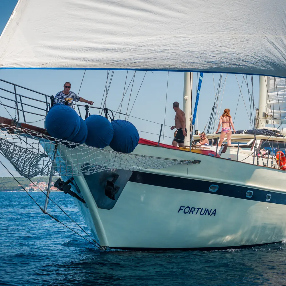 Fortuna 18