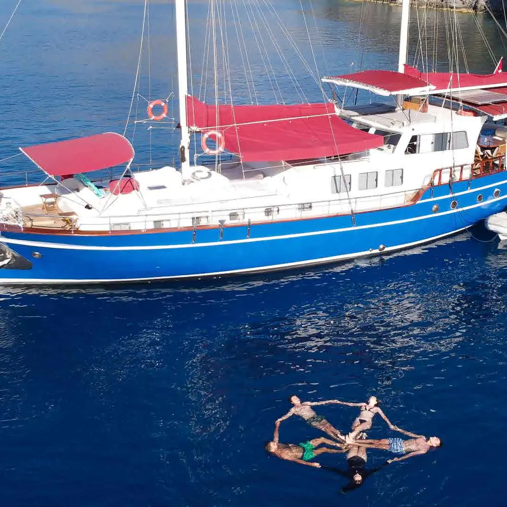 Pronto Blue 43