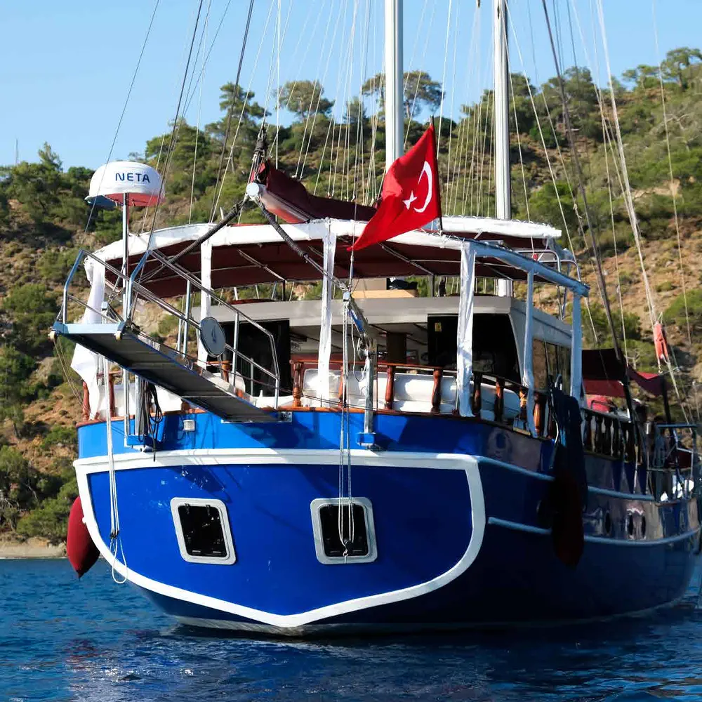 Pronto Blue 45