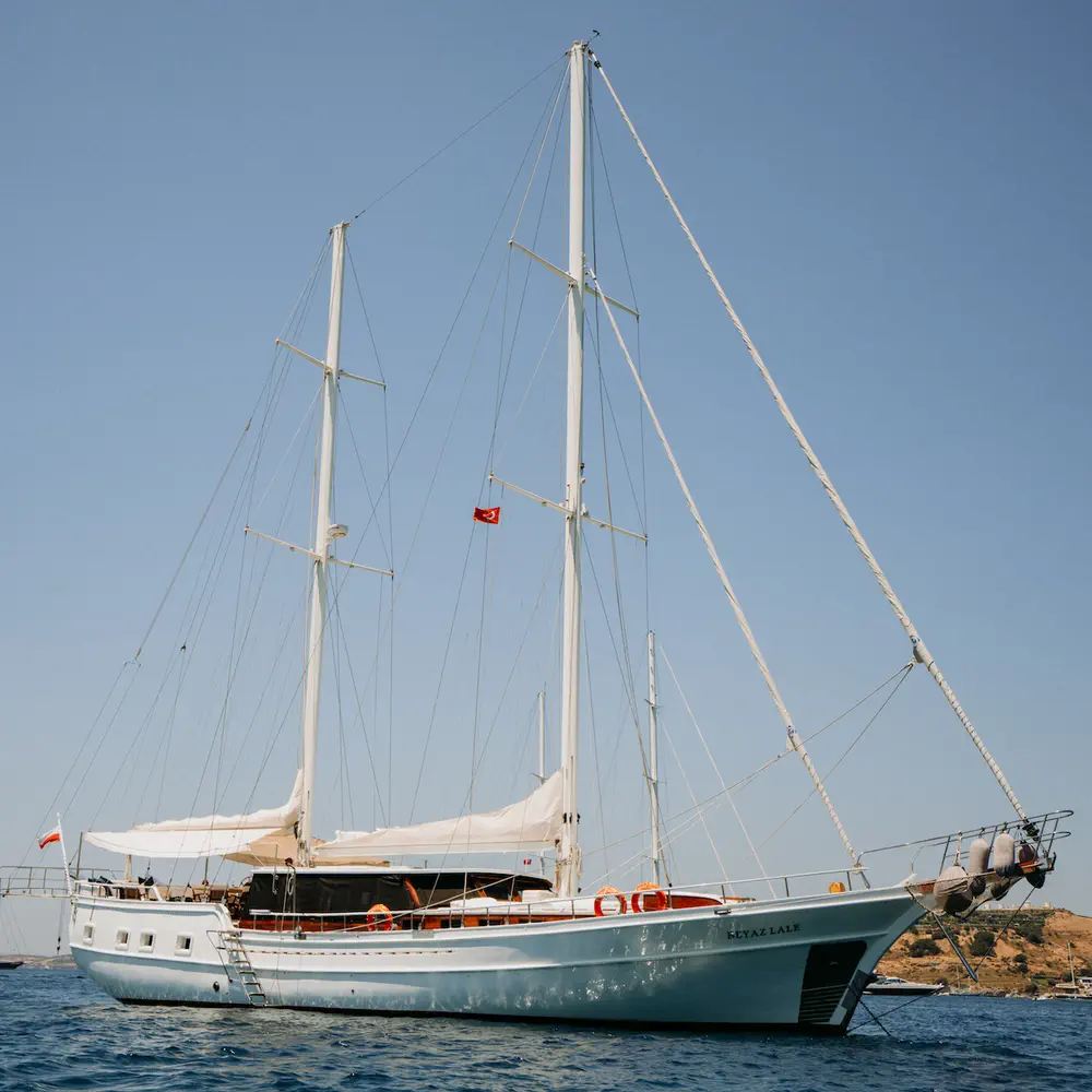 Bevaz Lale 31