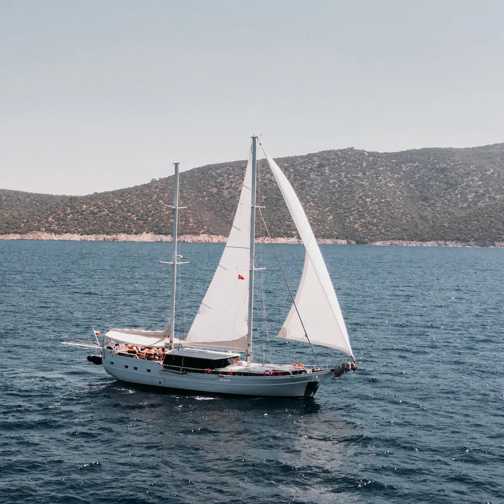 Bevaz Lale 33