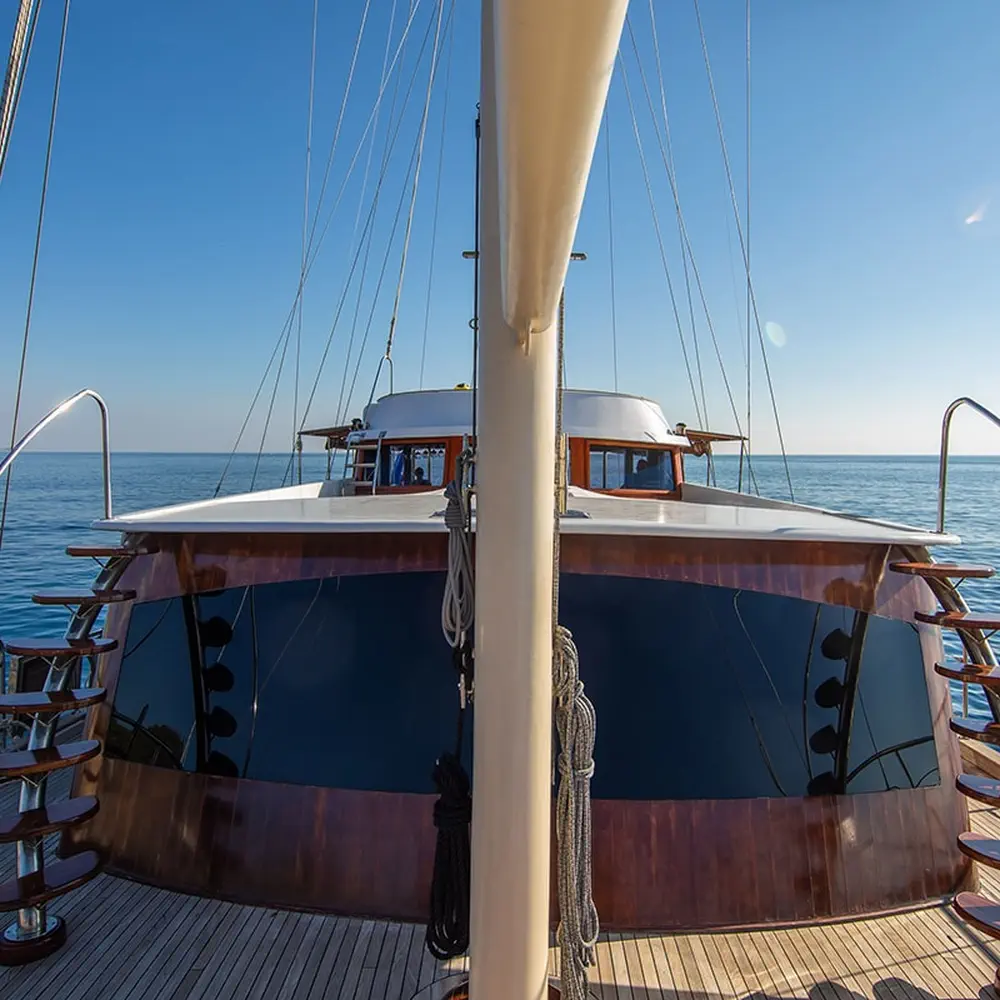 VIVERE 8