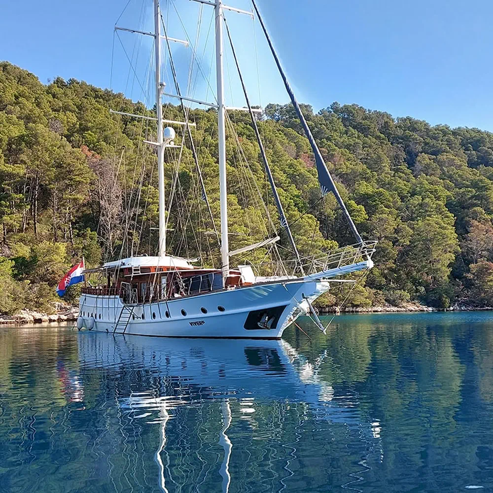VIVERE 37