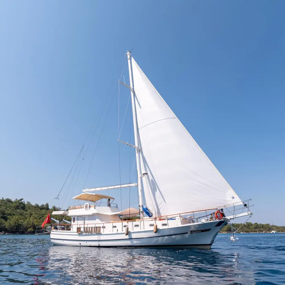 Bernis 26
