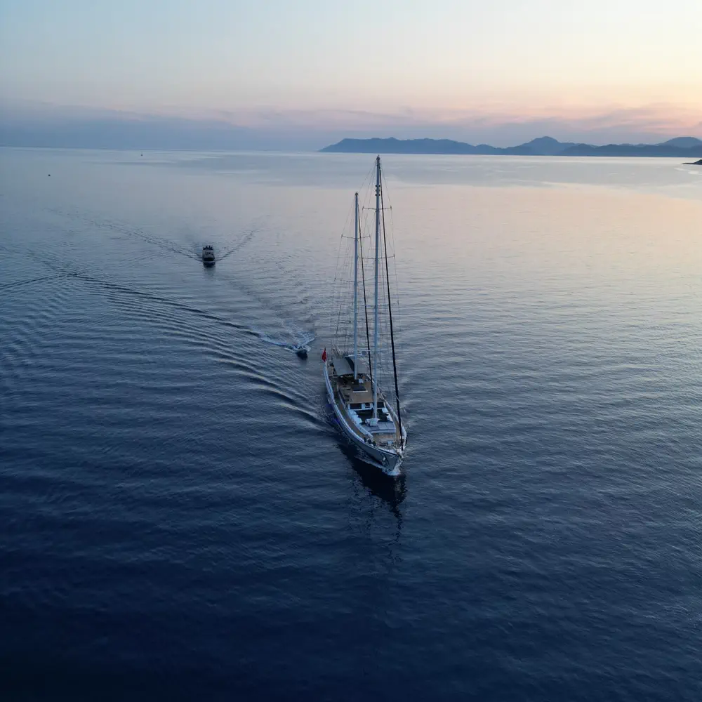 Nautilus 12