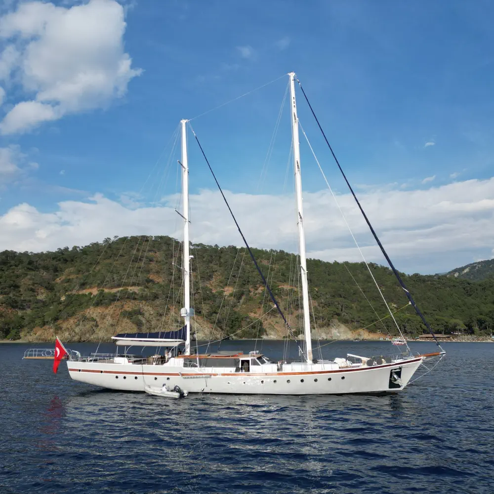Nautilus 25
