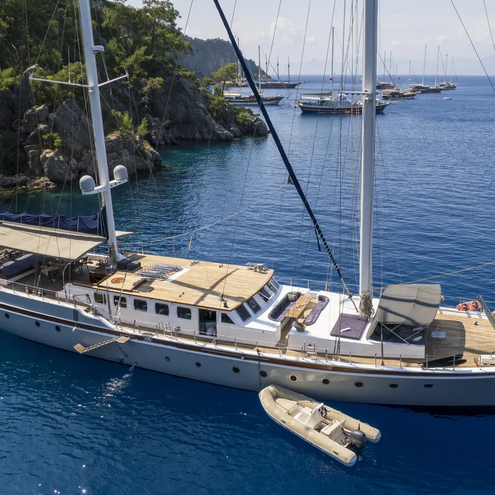 Nautilus 15