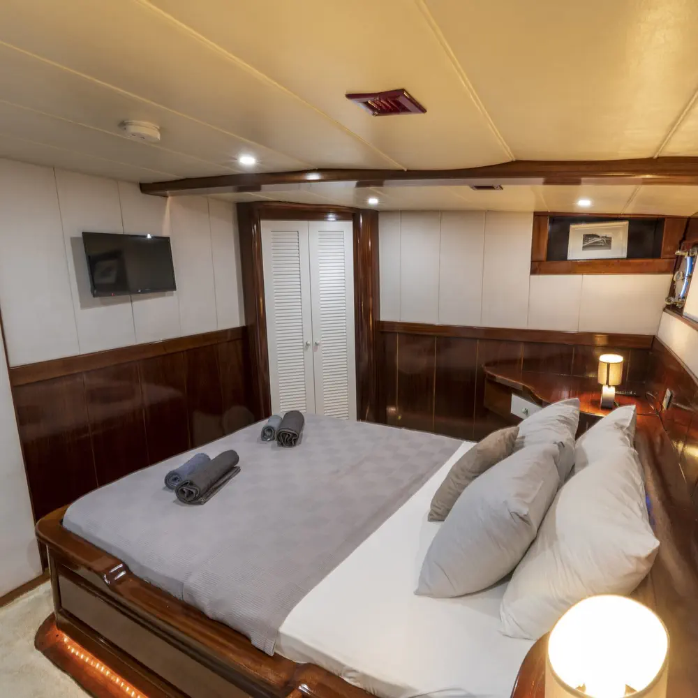 Nautilus 33