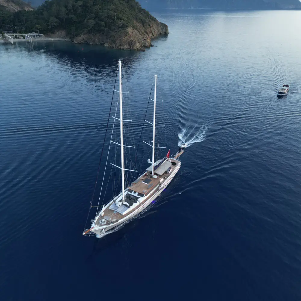 Nautilus 37