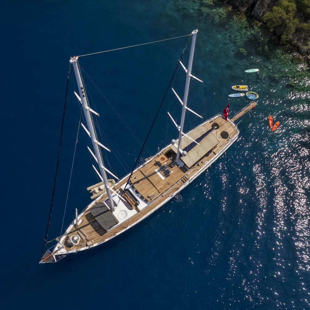 Nautilus 50