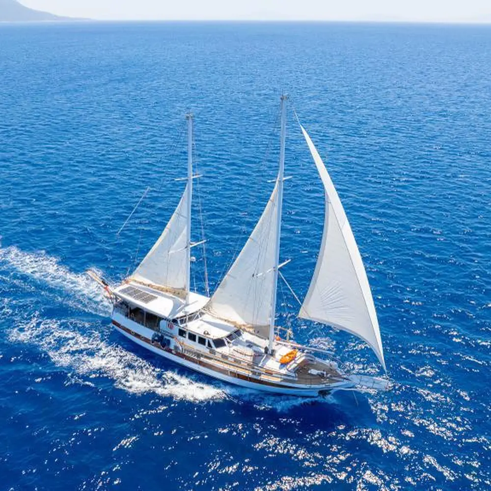 Cemre Junior 30