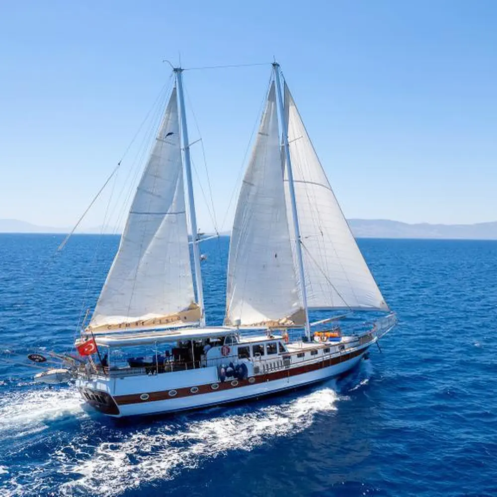 Cemre Junior 39
