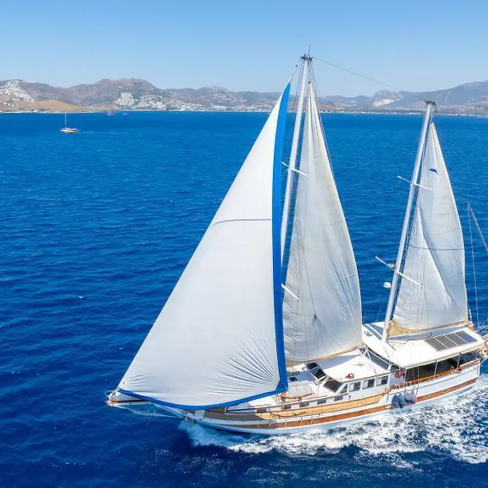 Cemre Junior 51
