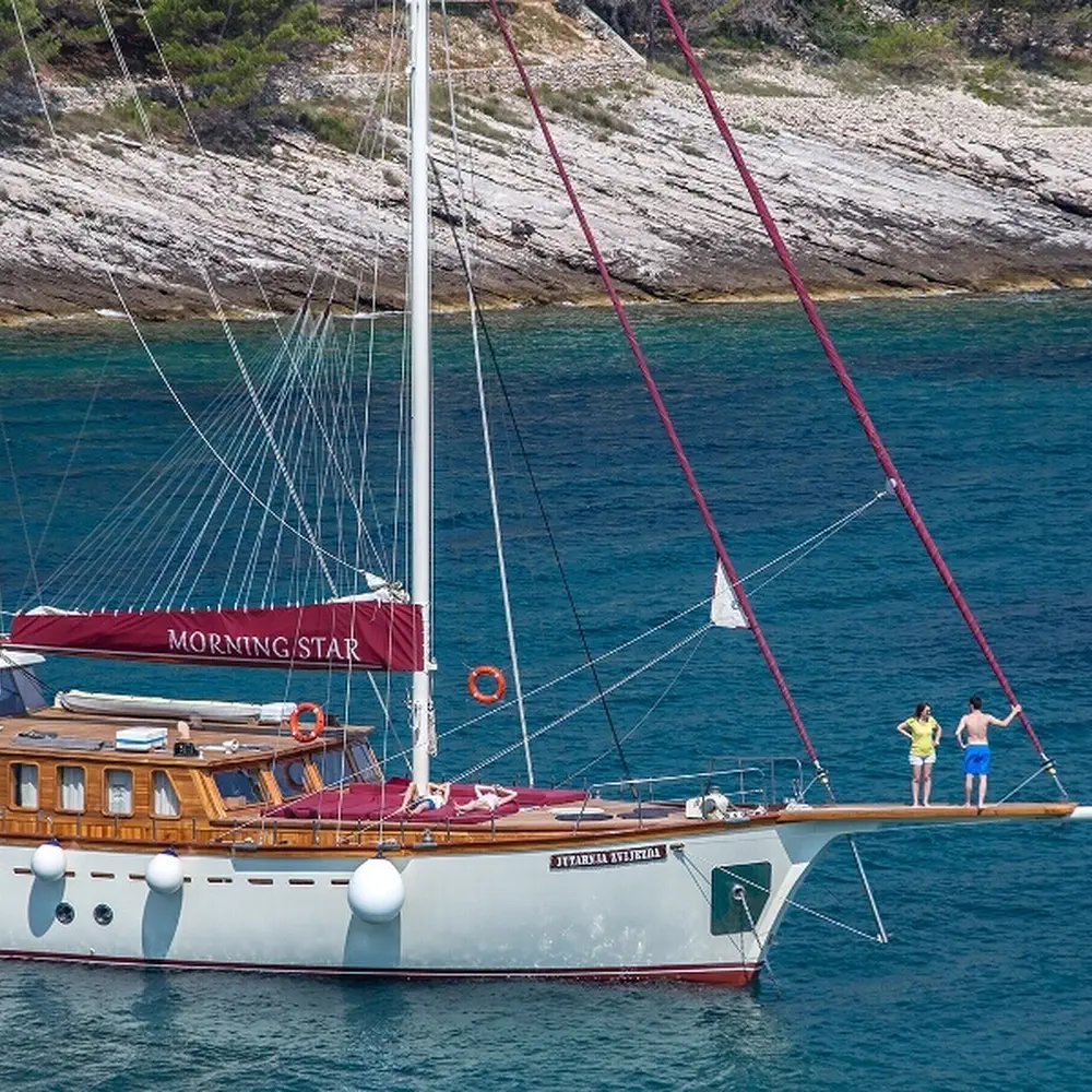 Morning Star 20