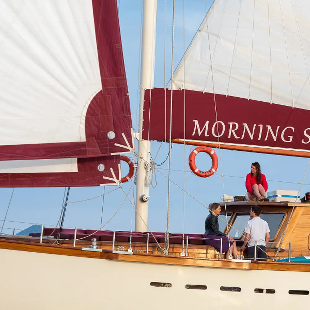 Morning Star 26
