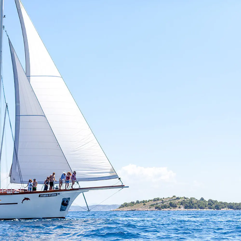 Morning Star 36
