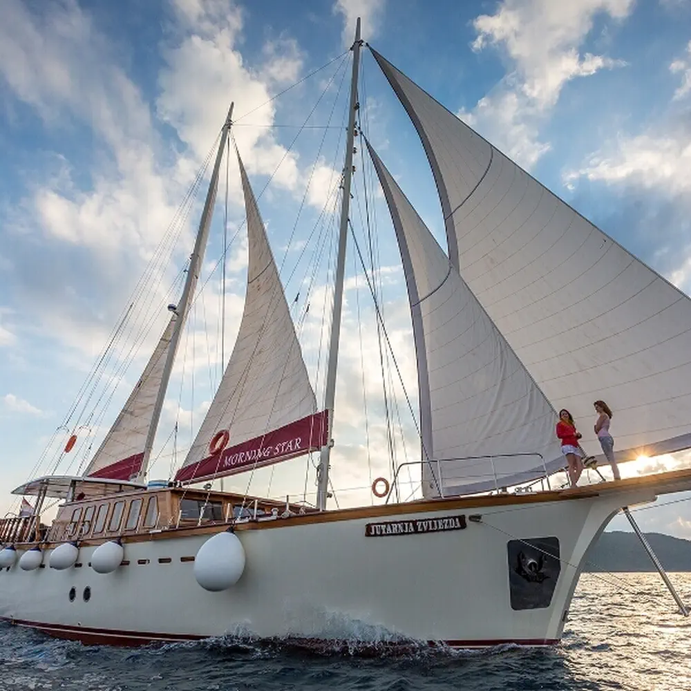 Morning Star 37