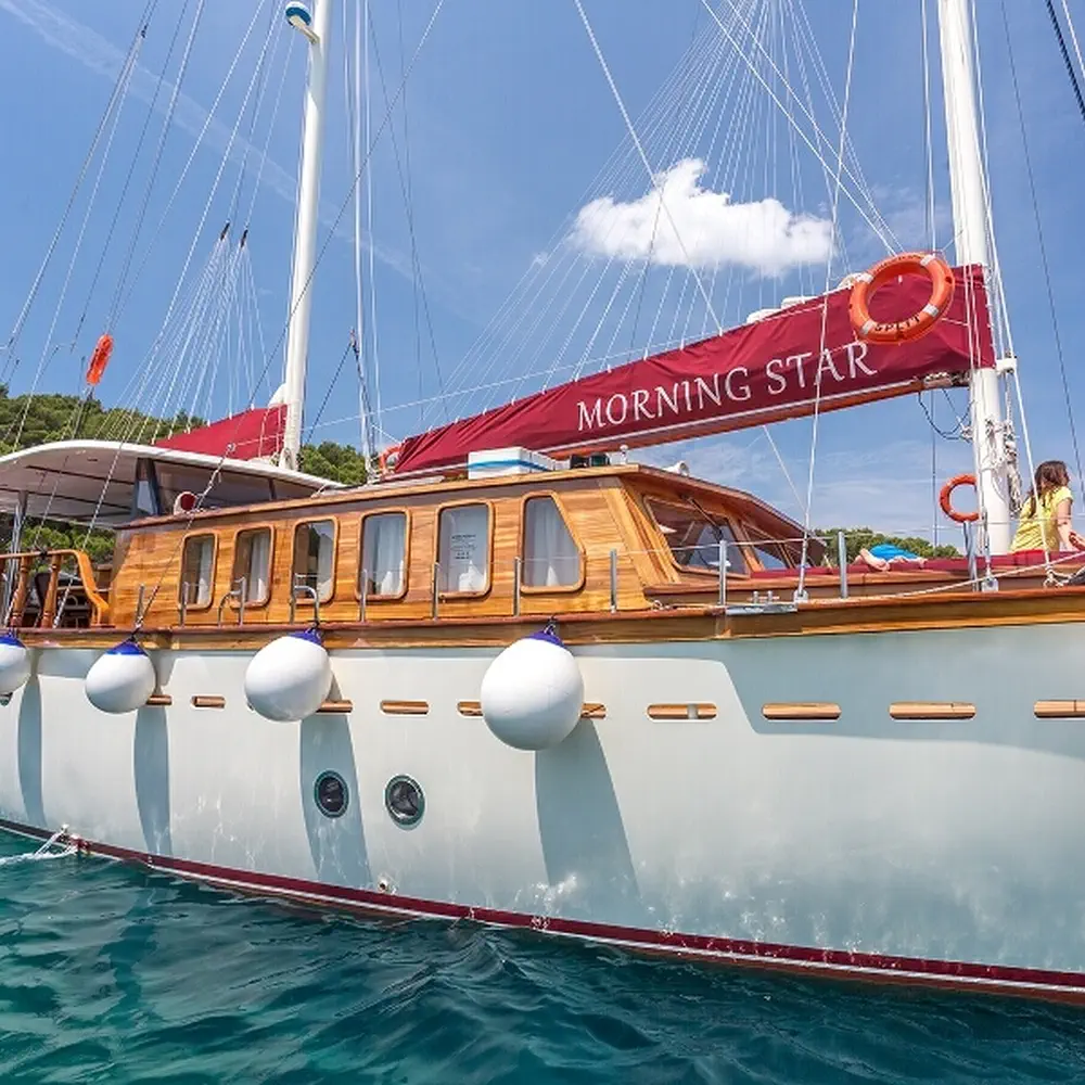 Morning Star 49