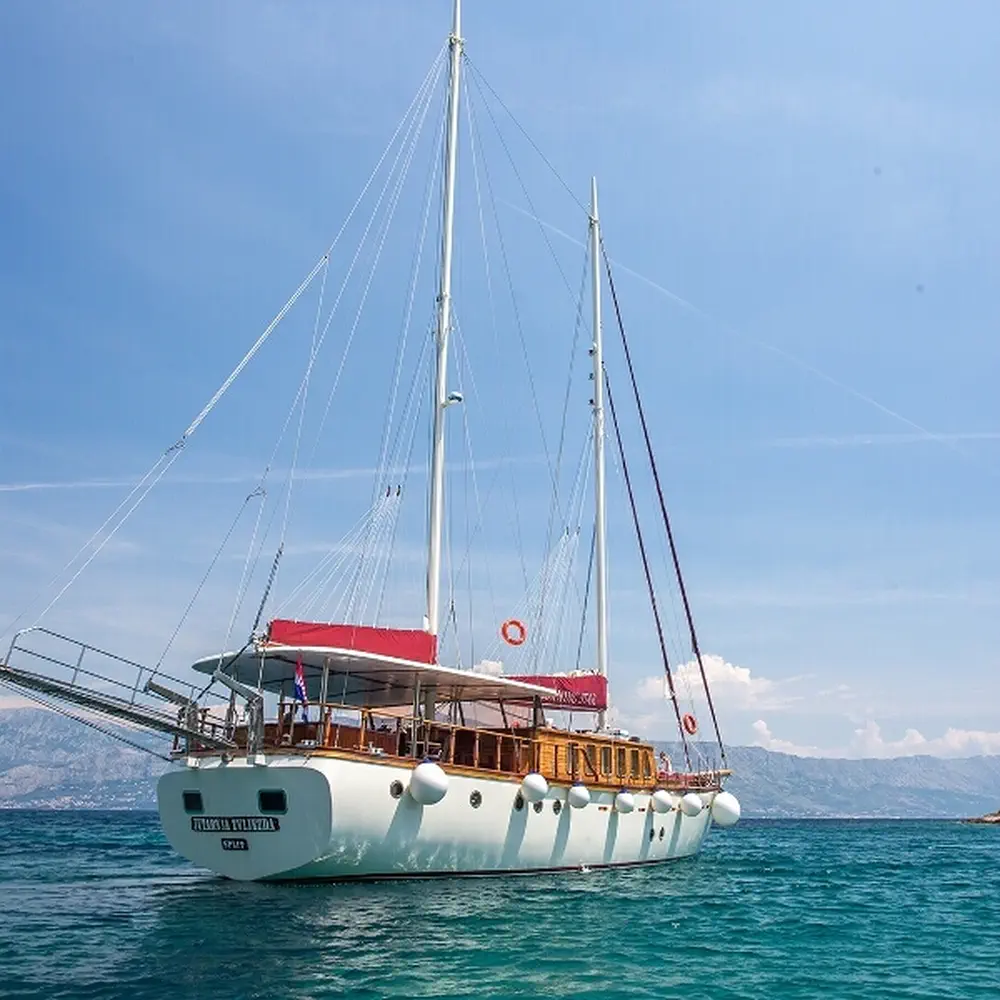 Morning Star 55