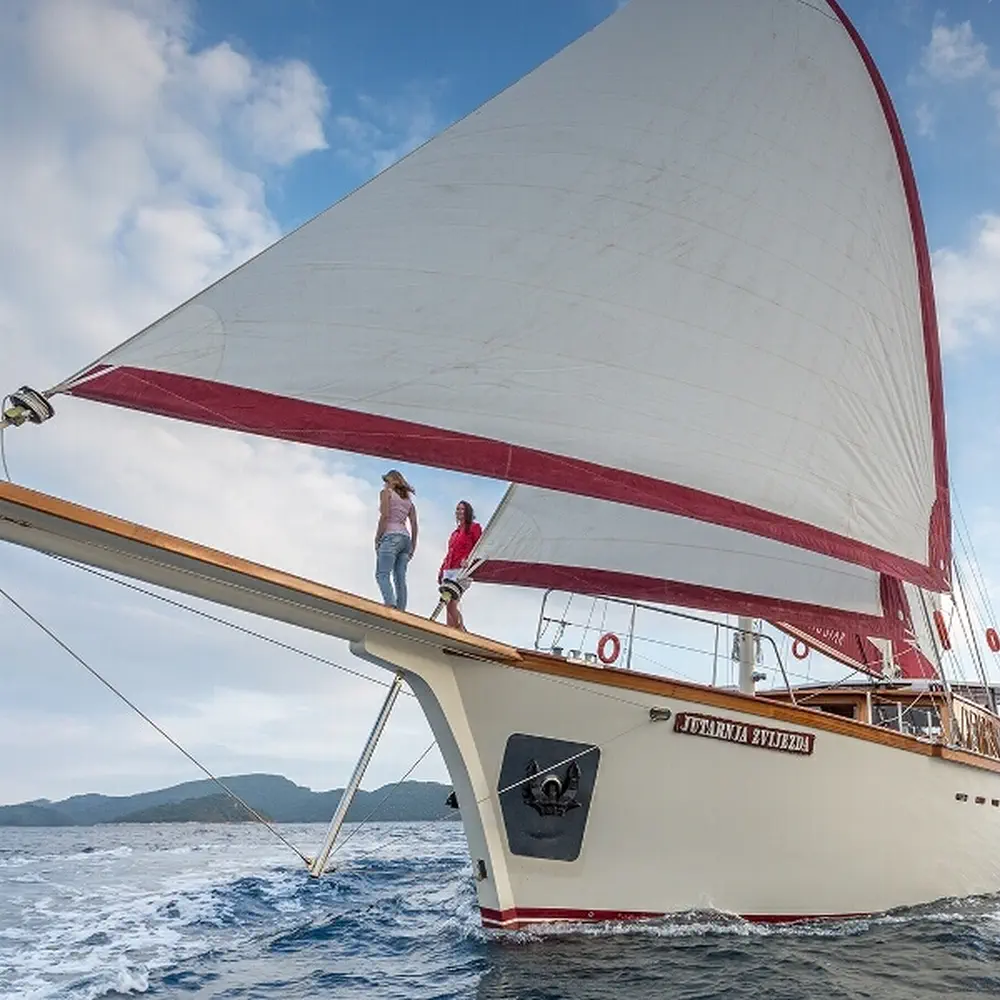 Morning Star 58