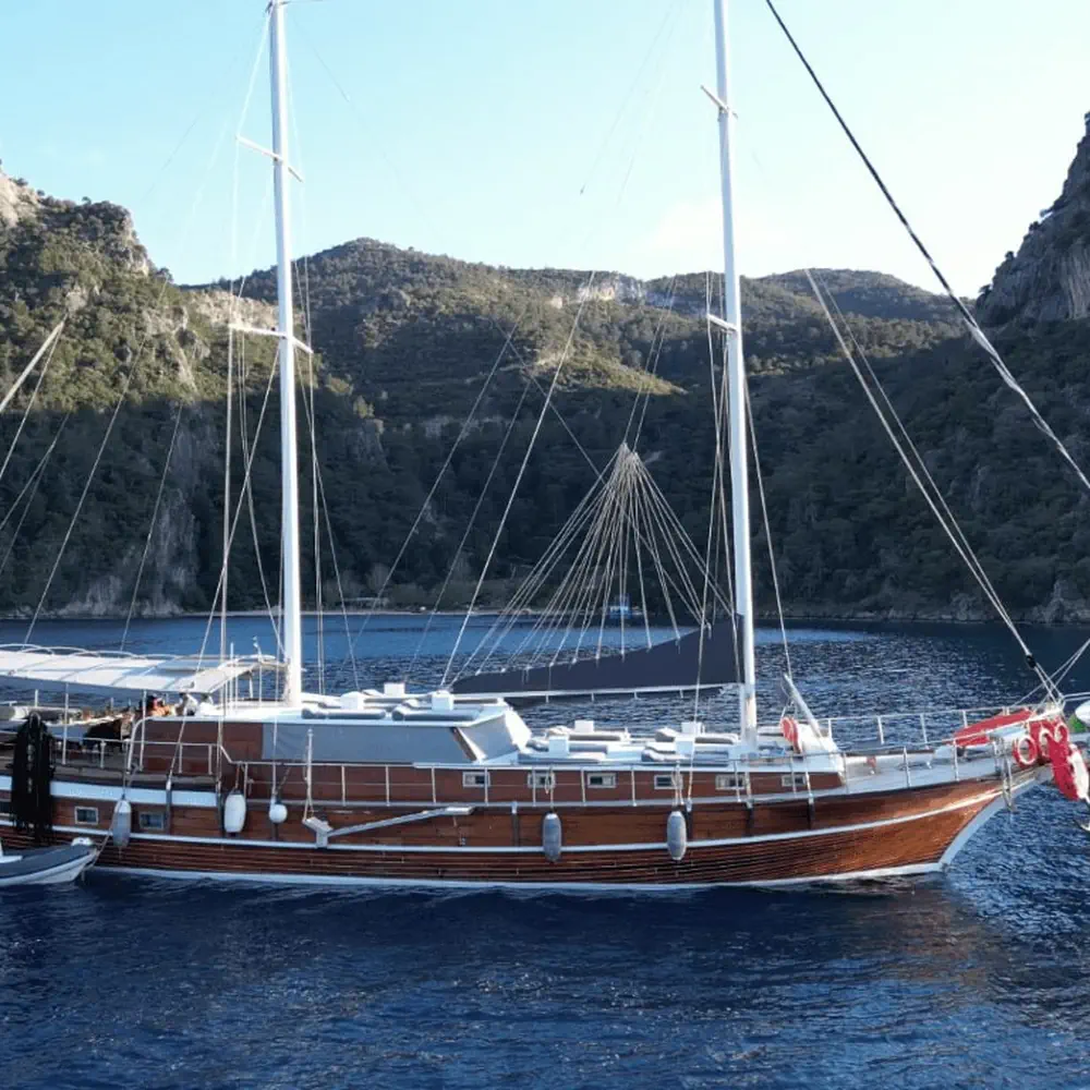 Aria 23