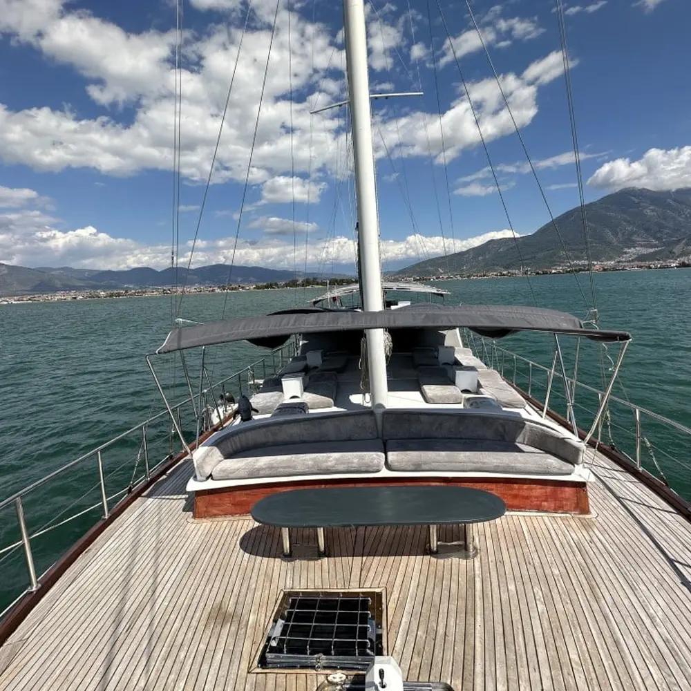 Aria 26