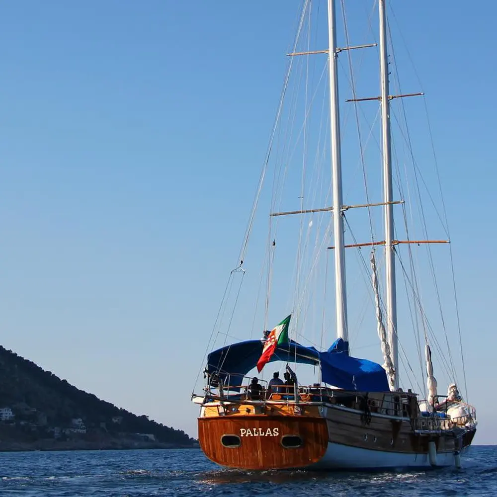 Double Cabin 2 5